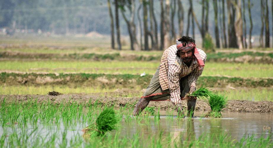 Sustainable agriculture practices supporting climate resilient farming in India