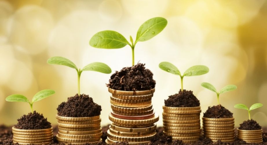 Farm finance protection services including crop insurance credit and financial security for farmers