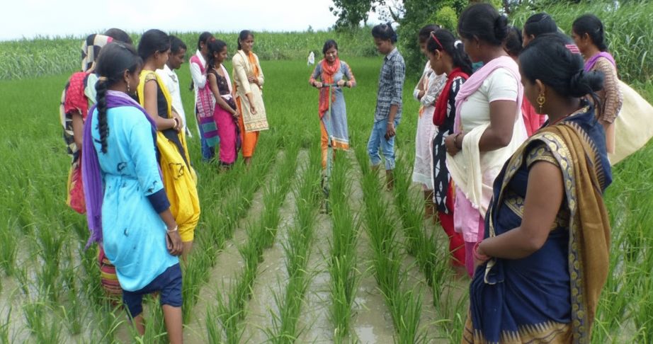 community agriculture support network using Digital Sahayaks and farmer organizations