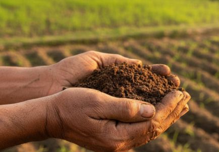 Soil management practices improving crop productivity and farmer income