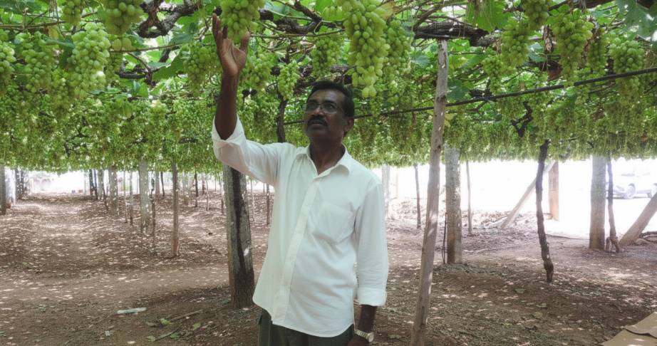 Farmers learning modern agricultural practices through Meghdoot platform