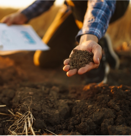 Soil health analysis and nutrient intelligence services for sustainable farming
