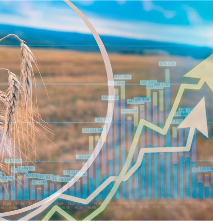 Market access platform connecting farmers to buyers and fair price discovery