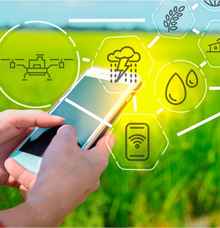 Weather and climate intelligence advisory helping farmers make informed decisions