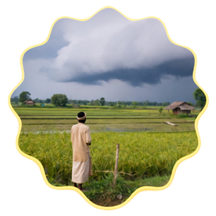 Climate smart farming helping farmers adapt to weather risks and protect yields