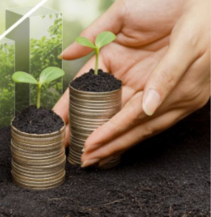 Financial literacy and income planning support for farmers