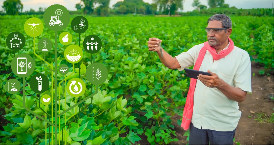 Agriculture advisory helping farmers improve crop productivity