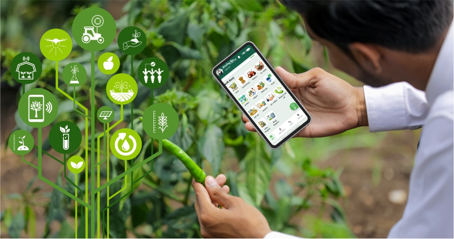 Precision farming technology providing crop recommendations