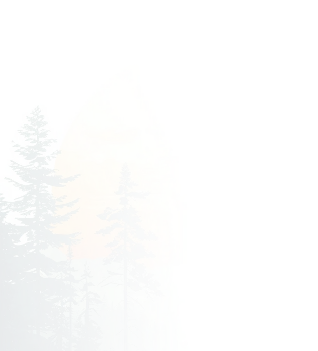 Who we are background design